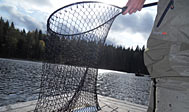 Lystfiskeri i Hammarsjön Lystfiskeri i Hammarsjön